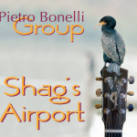 Shag's Airport