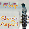 Shag's Airport